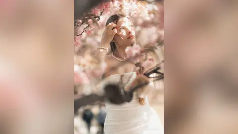 AdelinaKael — Sakura