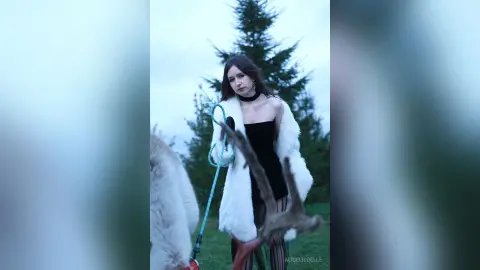 AliceLiddelle — ❄
