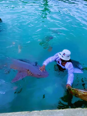 ManelykStorm leans over clear blue water wearing a white bucket hat and white shirt while touching a large shark.