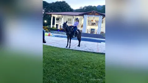 LaurenVenezs — 🐴