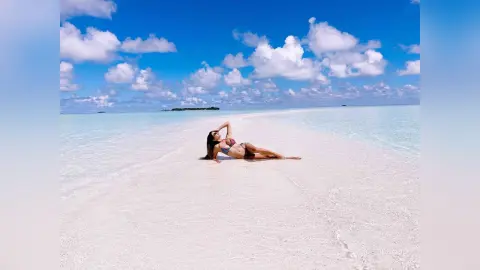 ChrisHarp —  PARADISE 🏝️