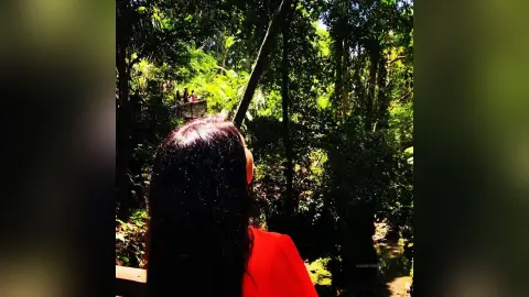 LisaReynolds — My trip to Bali
