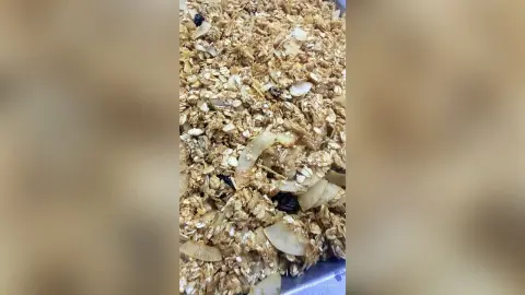 Healthy homemade granola bowl with oats, coconut flakes, and dried berries in a rustic breakfast setting.