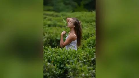 Serene young woman in a white tank top smelling green leaves in a lush, misty tea plantation.
