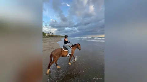 MiaIrwin — 🌊