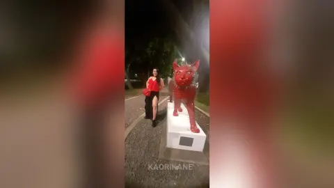KaoriKane — .