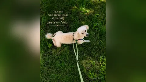 SimoniGrace — my cute friend❤️