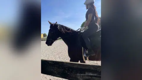 Woman in equestrian riding gear riding a dark horse through a sunny outdoor training arena.