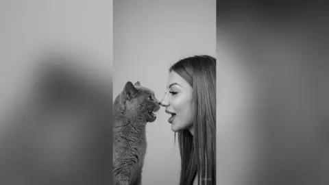 EveLux — Two kittens.