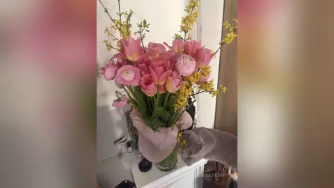 DenisePerry — Spoiled meeeeee
