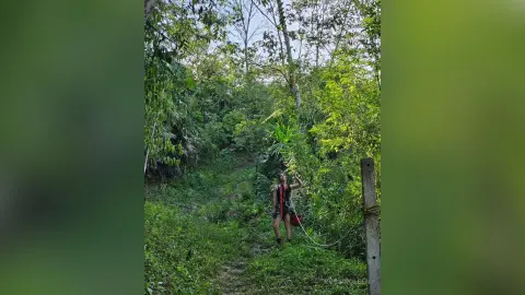 Young woman in a black dress standing on a lush green forest path surrounded by tropical trees and foliage.