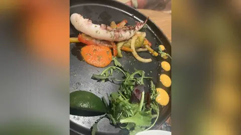 Grilled octopus served with roasted vegetables and fresh arugula on a dark gourmet restaurant plate.