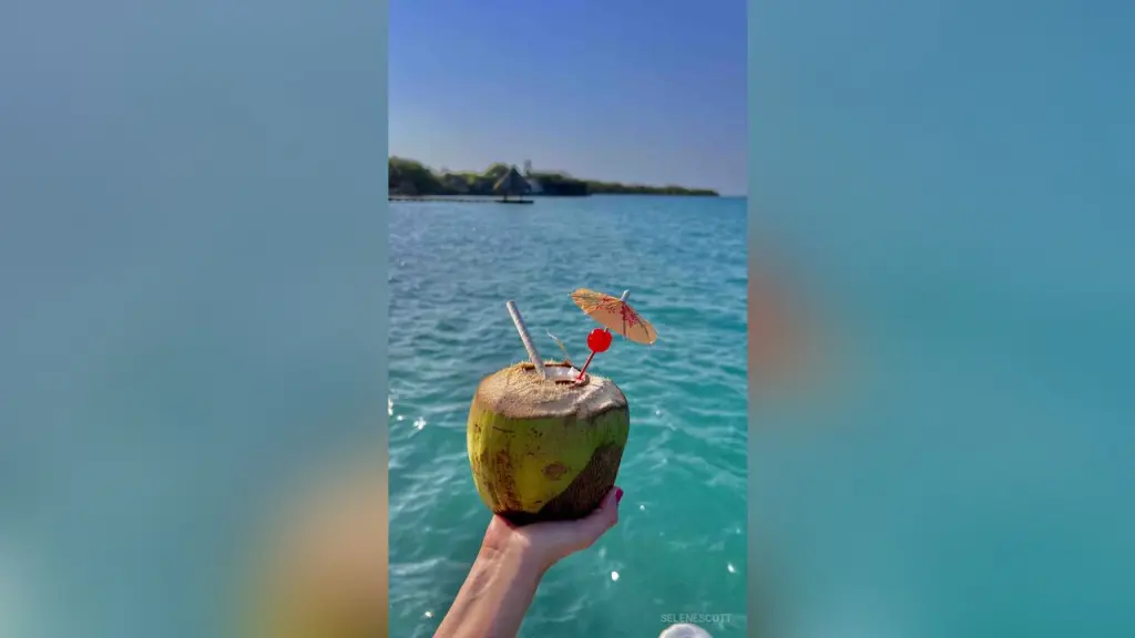 SeleneScott — Refreshing coconut drink with a straw held against a sunny tropical ocean backdrop for a summer vacation mood.