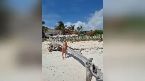 Fit woman in a brown bikini relaxing on driftwood at a sunny tropical beach under a blue sky.