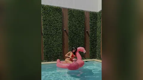 ScarleteBlake — 👙🦩