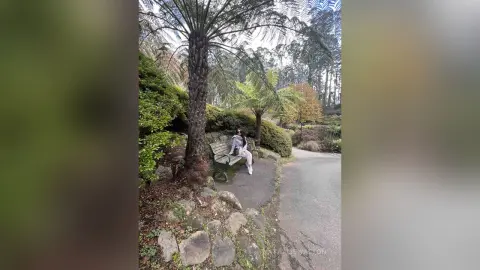 A woman in a grey sweatshirt sitting on a park bench under lush green palm trees on a peaceful day.