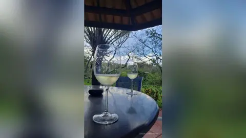 Two glasses of white wine on an outdoor patio table overlooking a lush green garden on a bright day.