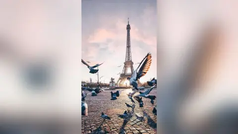 Anelise — Paris, mon coeur