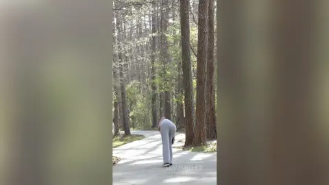 Woman in grey loungewear walking on a forest path surrounded by tall pine trees on a sunny day.
