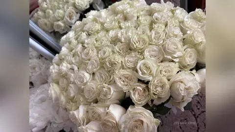 JessicaKroft — 💐💐💐