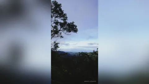 AnabelleCharis — Nature