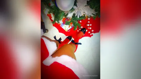 SophiaRichards — MERRY CHRISTMAS