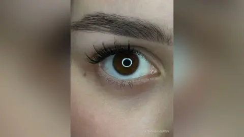 Close-up of a woman's eye with groomed eyebrows and natural makeup for a clean beauty look.