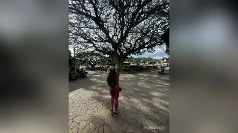 PamelaCreed stands outdoors under a large, spreading tree, wearing a tight pink bodysuit and facing away from the camera on a stone-paved street.