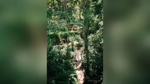 StacyHarland stands on a narrow wooden walkway surrounded by dense green jungle foliage and tropical ferns.