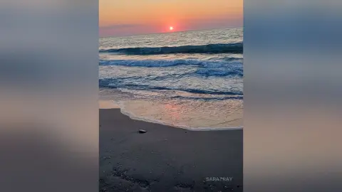 SaraTray relaxing on a dark sandy beach at sunset with gentle ocean waves washing up near her.