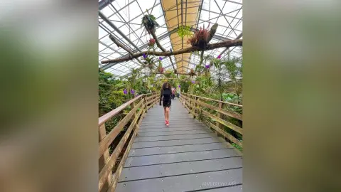 Woman in a black dress walking on a wooden boardwalk through a lush, sunlit indoor botanical greenhouse.