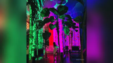 Aalyahh stands in a tropical indoor setting with large green leaves and bright pink and blue neon lighting, wearing a white outfit.