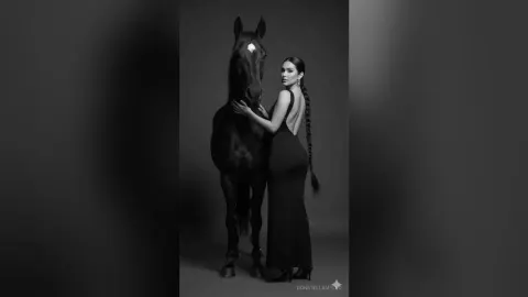 DonatellaMyllo — DONATELLA 