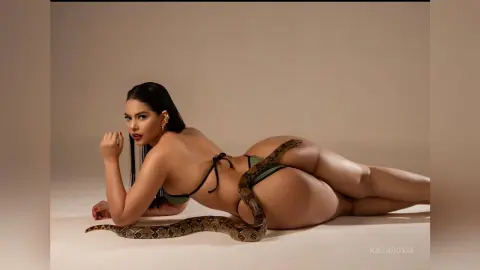KailaRosse — Anaconda snake 🐍