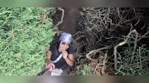 Smiling woman in a black t-shirt and blue patterned headwrap outdoors near green bushes and tree roots.