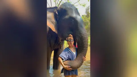 Young woman in a blue striped shirt hugging a large elephant in a tropical jungle setting.