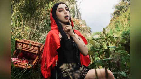 AliceBelov — Little Red Riding Hood.