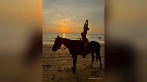 Silhouette of a woman performing a handstand on a horse at the beach during a golden sunset.