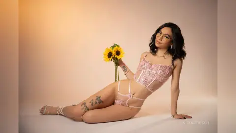 NicoleBosch — 🌻 Sunflower 🌻
