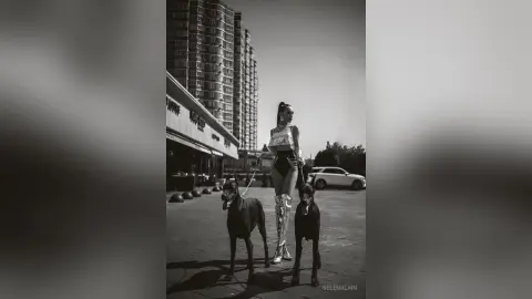 Stylish woman in a crop top and tall boots walking two large dogs on a city street in a black and white photo.