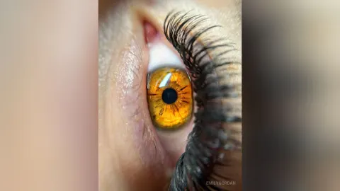 EmilyGordan — what do you see in them? 🤩