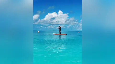 ChrisHarp —  PARADISE 🏝️