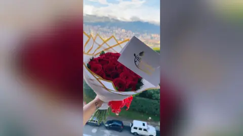 Hand holding a large bouquet of fresh red roses overlooking a scenic city skyline at sunset.