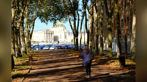 Woman in dark clothing walking down a sunlit park path lined with autumn trees near a grand European building.