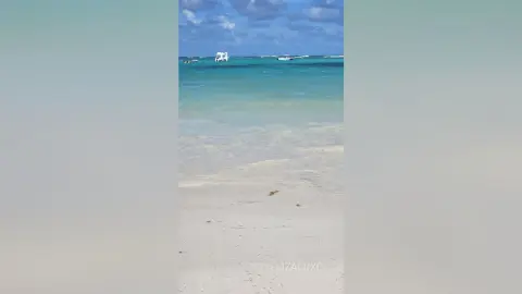 ElizaLuxe — Beach Pics🏖🌊