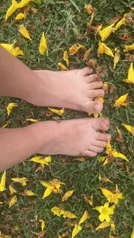 Bare feet resting on green grass scattered with bright yellow flower petals in a peaceful outdoor setting.
