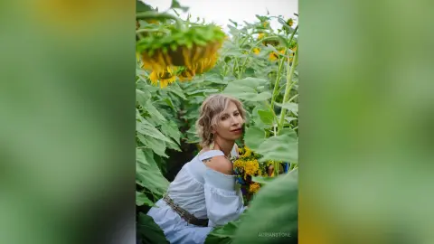 AdrianStone — My sunflower summer 2024