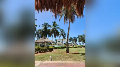 Tropical resort landscape with palm trees, thatched roof huts, and a sunny garden under a clear blue sky.