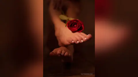 TefyRodriguez — gallery