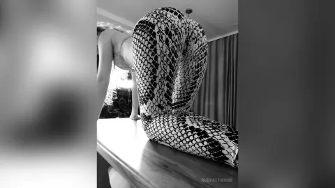 RubyAttwood bends over a wooden table wearing a snakeskin print bodysuit that shows her bare back and curves.